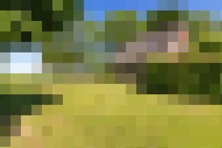 Osbroeken 2 Zuidlaren thumbnail 41