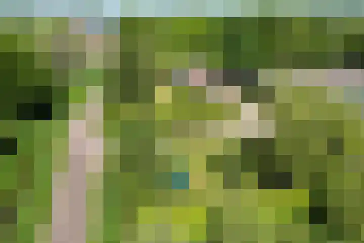 Osbroeken 2 Zuidlaren thumbnail 5