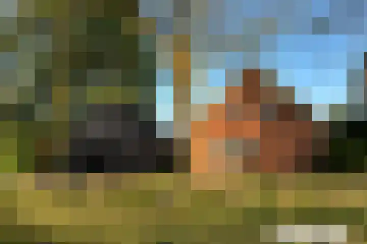 Osbroeken 2 Zuidlaren thumbnail 51