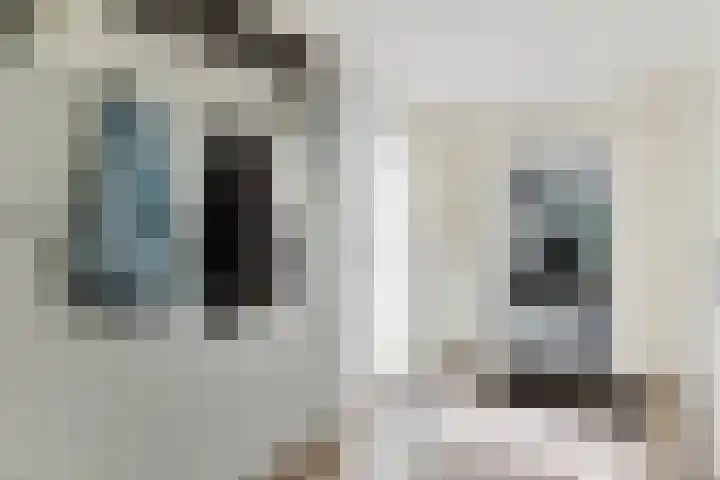 Osbroeken 2 Zuidlaren thumbnail 6