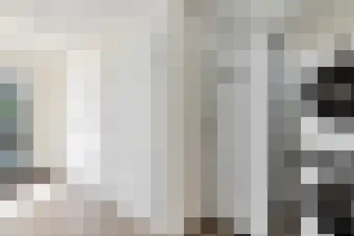 Osbroeken 2 Zuidlaren thumbnail 7