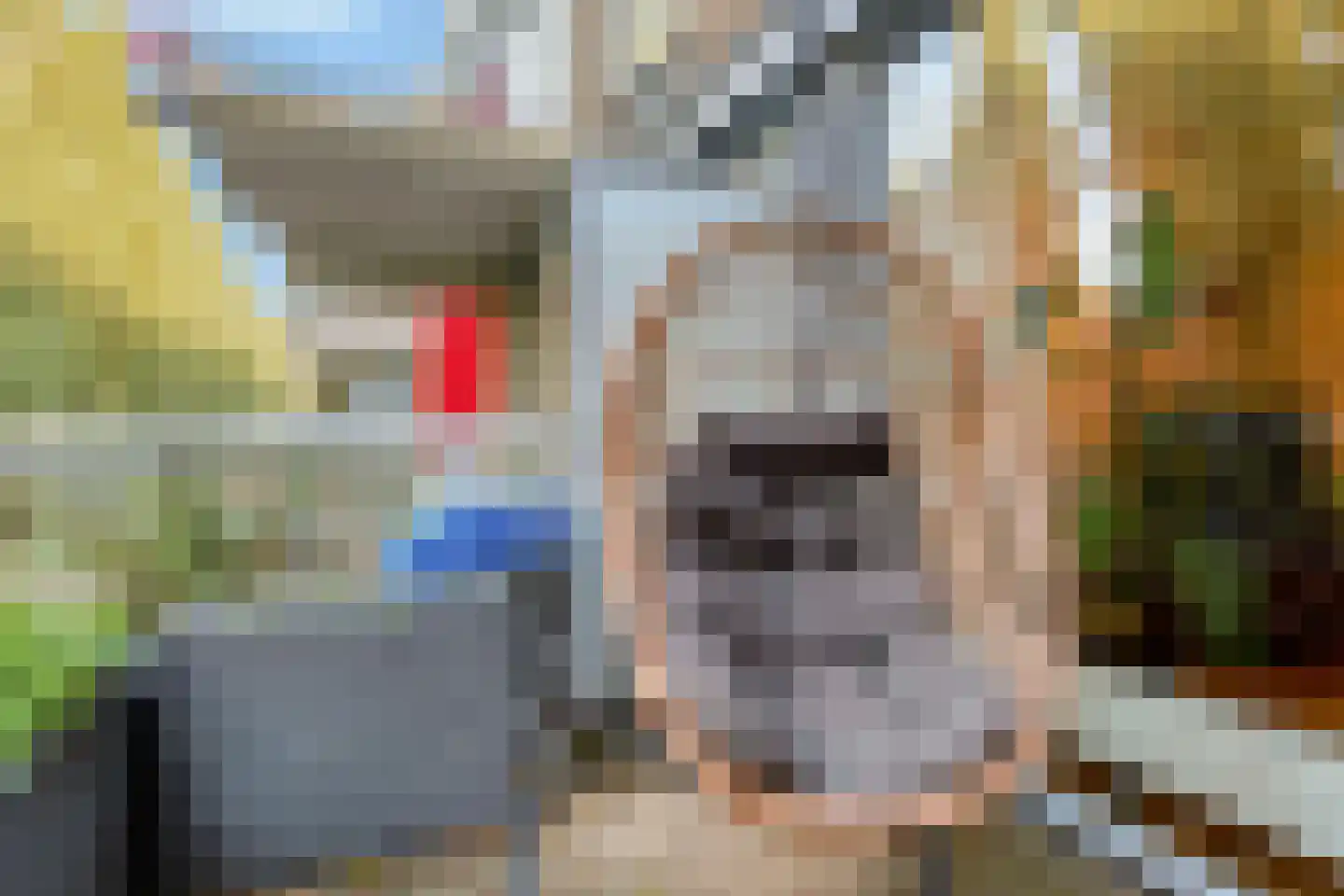 Oscar Hammersteinstraat 44 Utrecht thumbnail 18