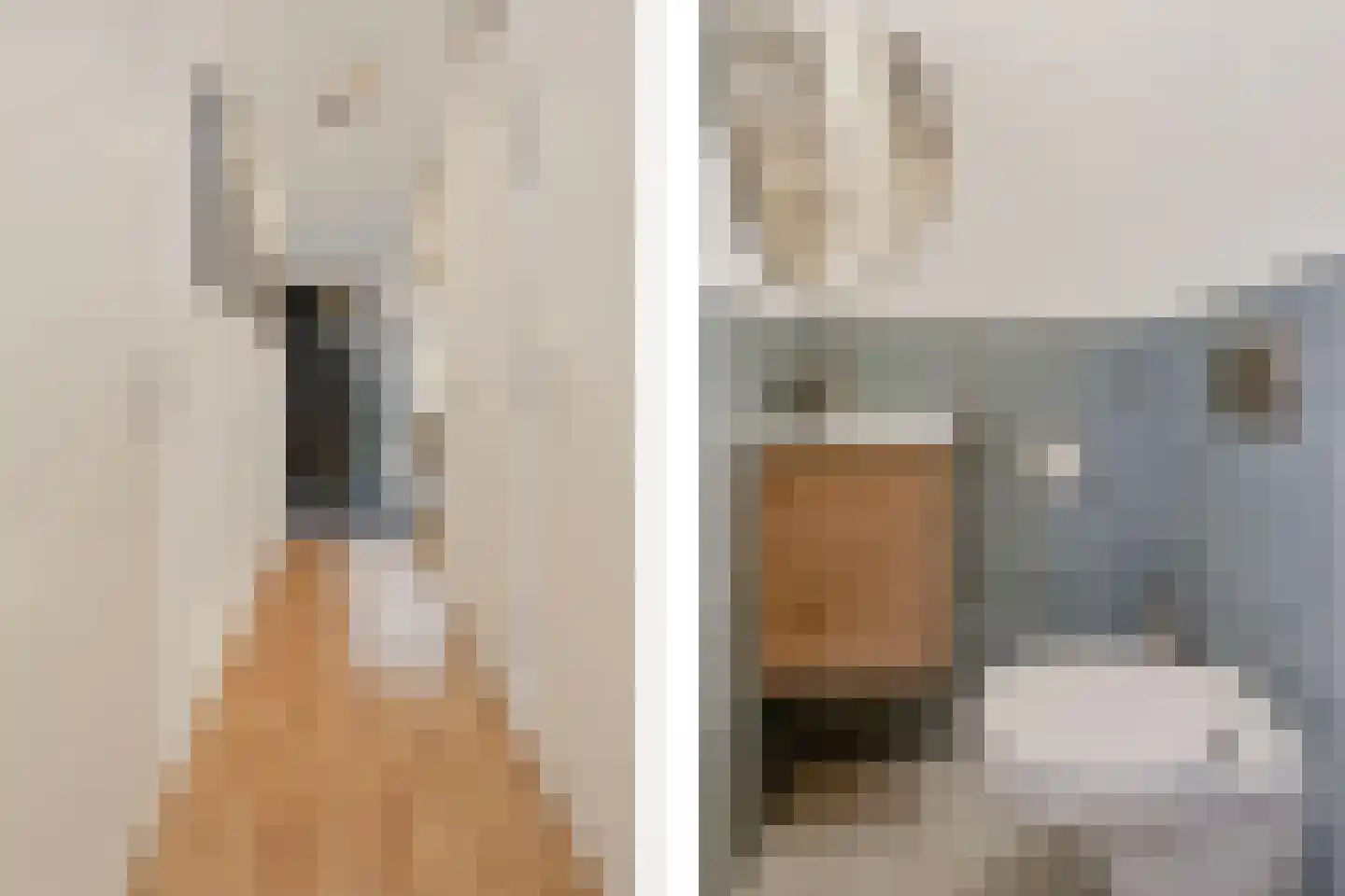 Oscar Hammersteinstraat 44 Utrecht thumbnail 27