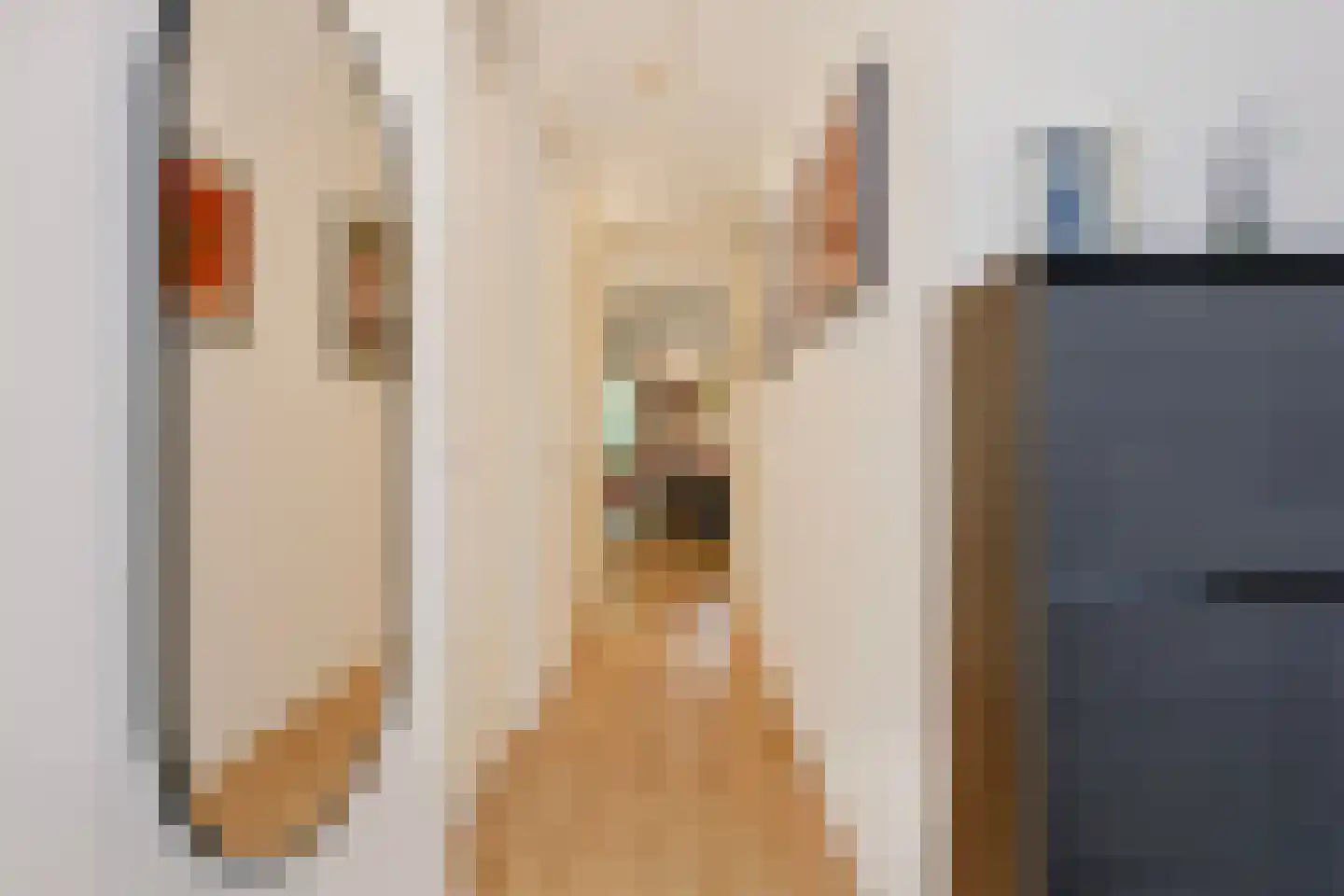 Oscar Hammersteinstraat 44 Utrecht thumbnail 28