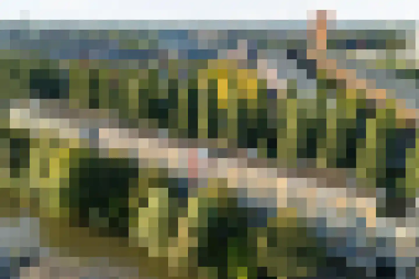 Oscar Hammersteinstraat 44 Utrecht thumbnail 32