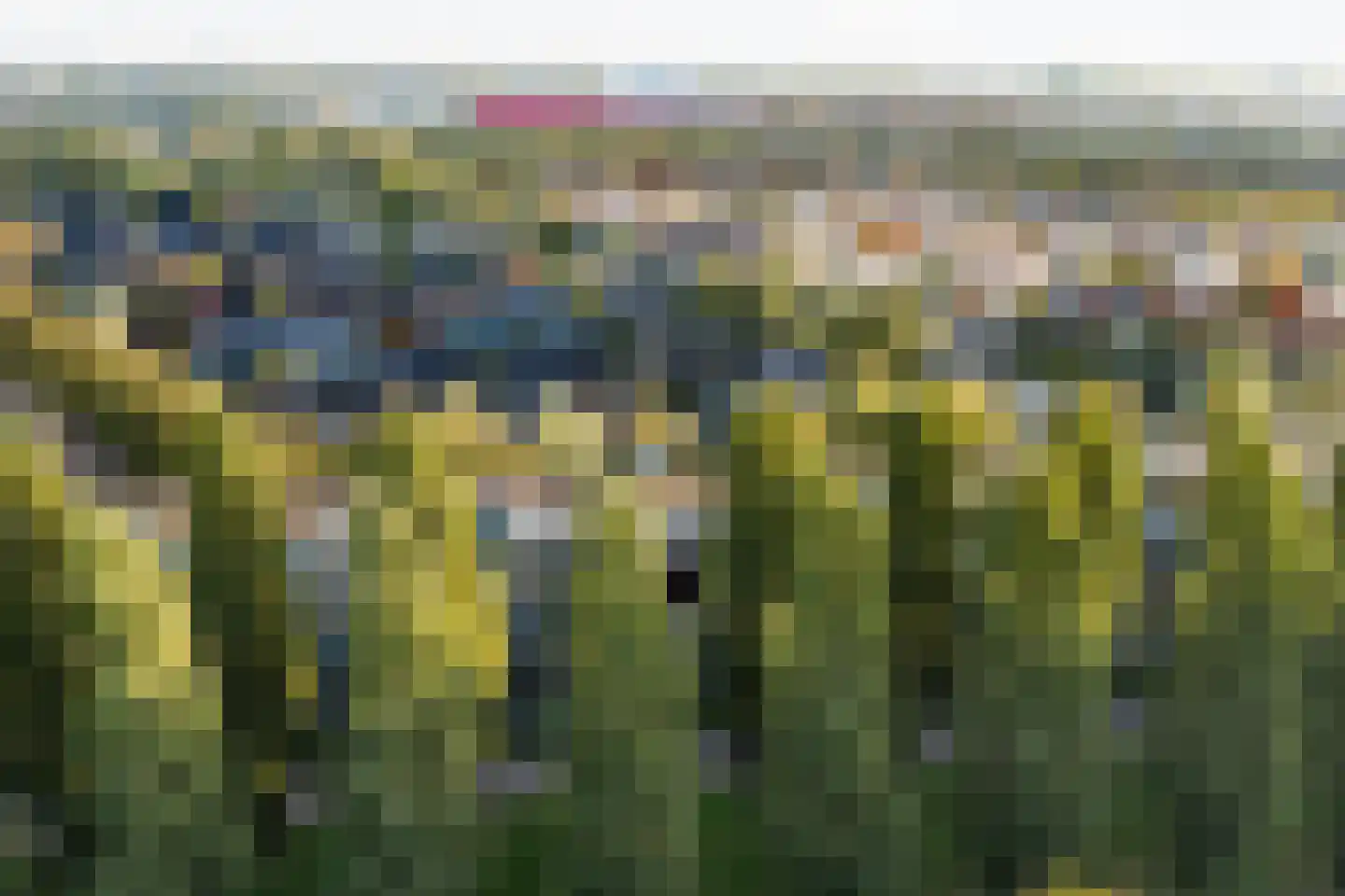 Oscar Hammersteinstraat 44 Utrecht thumbnail 34