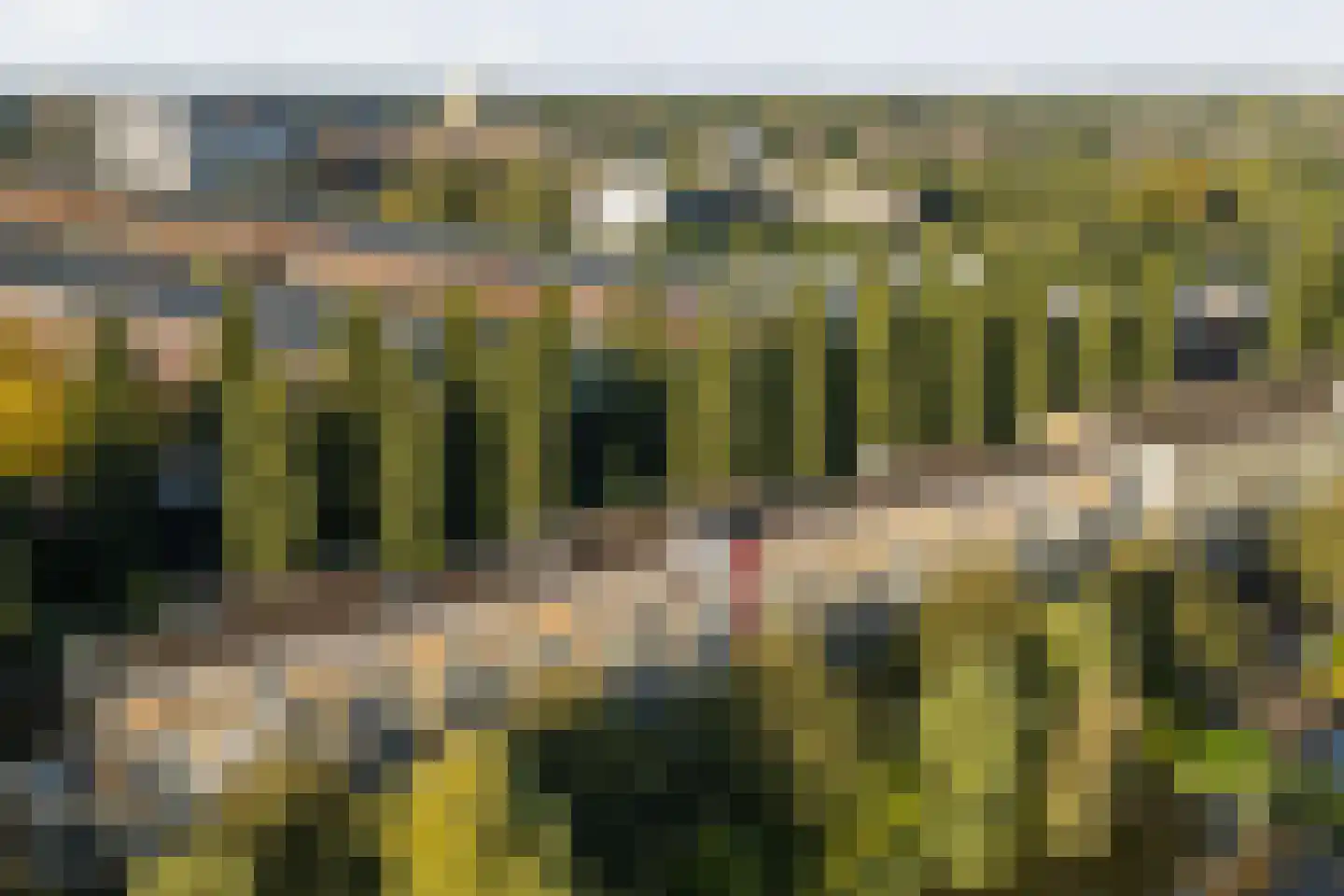 Oscar Hammersteinstraat 44 Utrecht thumbnail 35