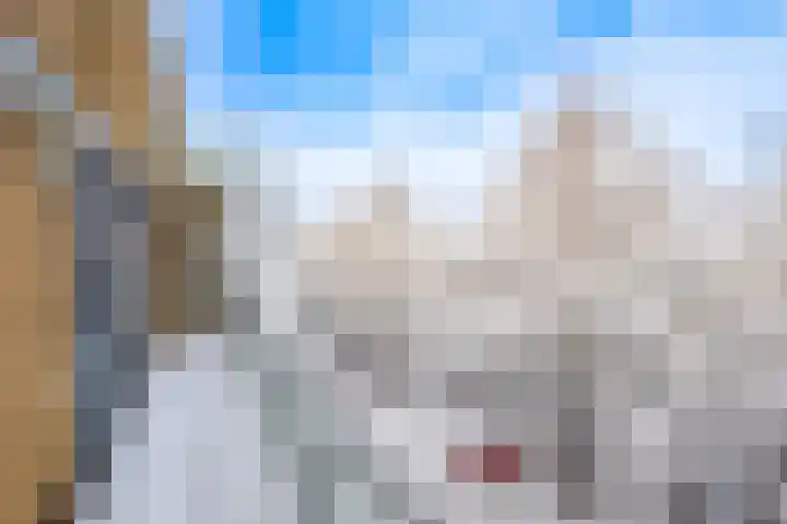 Oscar Hammersteinstraat 53 Utrecht thumbnail 28