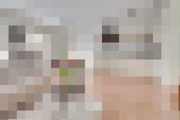 Oscar Hammersteinstraat 53 Utrecht thumbnail 4