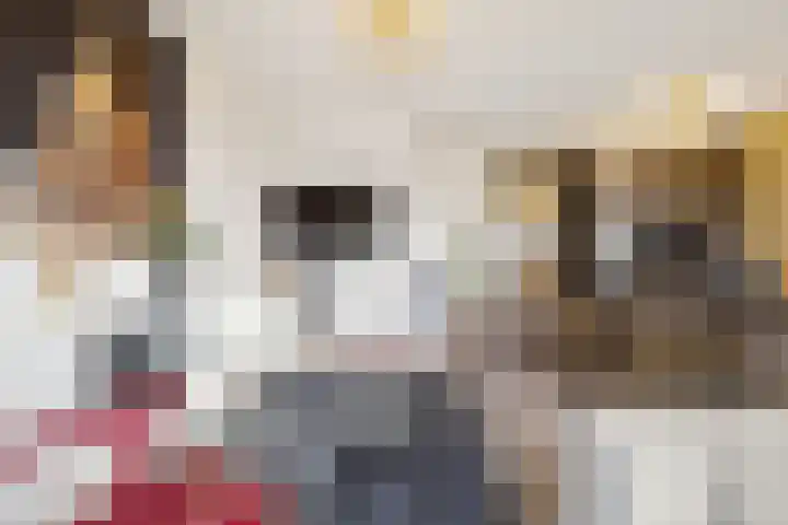 Oscar Hammersteinstraat 60 Utrecht thumbnail 12