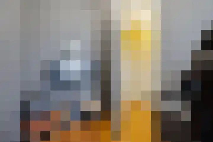 Oscar Hammersteinstraat 60 Utrecht thumbnail 23