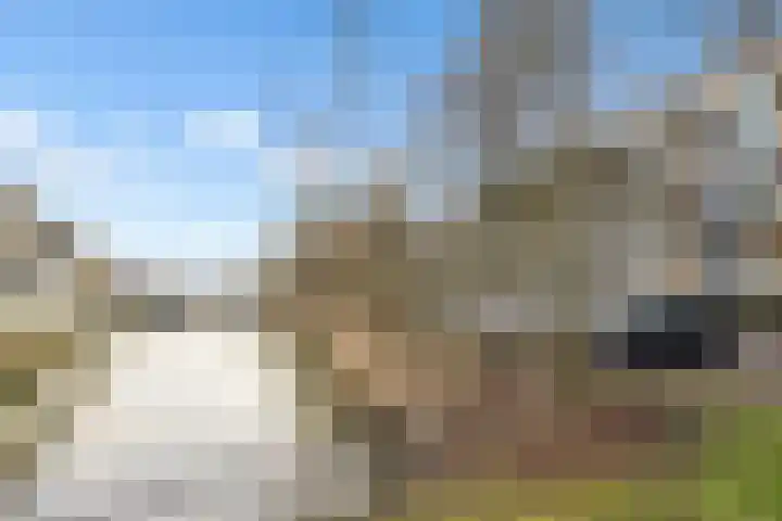 Oscar Hammersteinstraat 60 Utrecht thumbnail 32