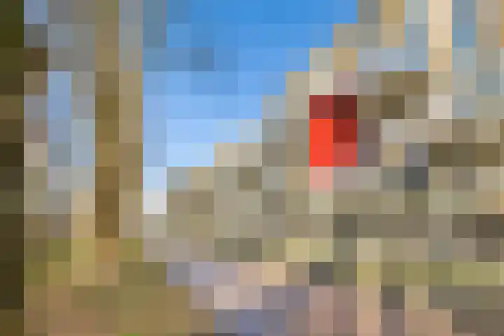 Oscar Hammersteinstraat 60 Utrecht thumbnail 35