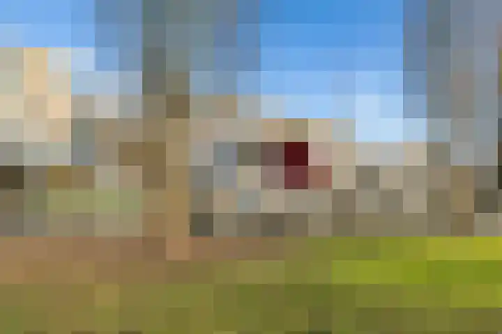 Oscar Hammersteinstraat 60 Utrecht thumbnail 36