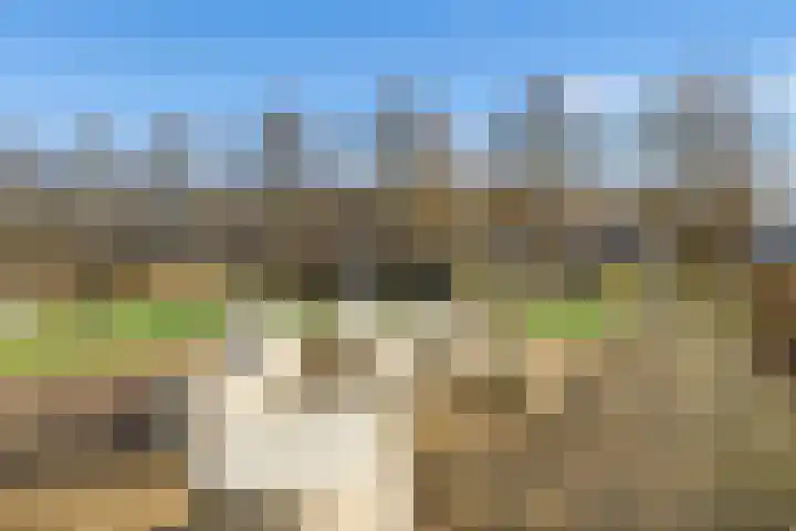 Oscar Hammersteinstraat 60 Utrecht thumbnail 38