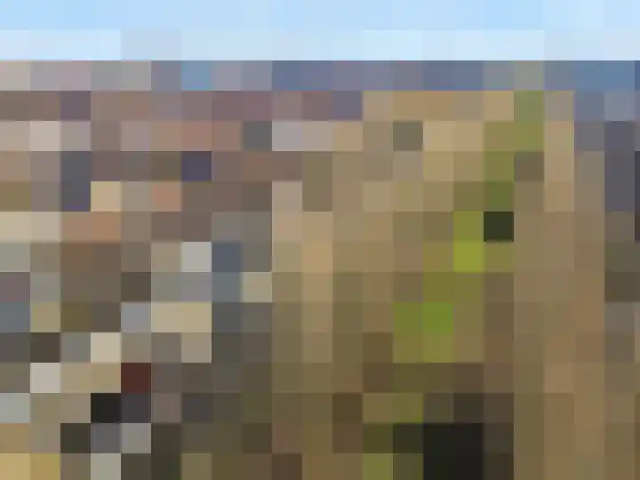 Oscar Hammersteinstraat 60 Utrecht thumbnail 45