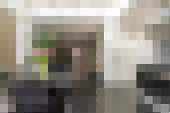 Oscar Leeuwstraat 8 Tilburg thumbnail 13