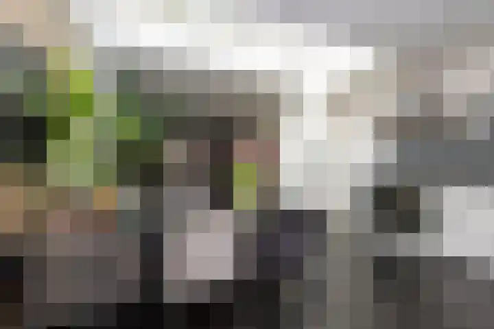 Oscar Leeuwstraat 8 Tilburg thumbnail 14