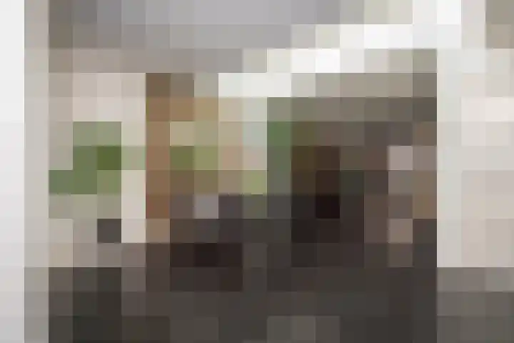 Oscar Leeuwstraat 8 Tilburg thumbnail 16