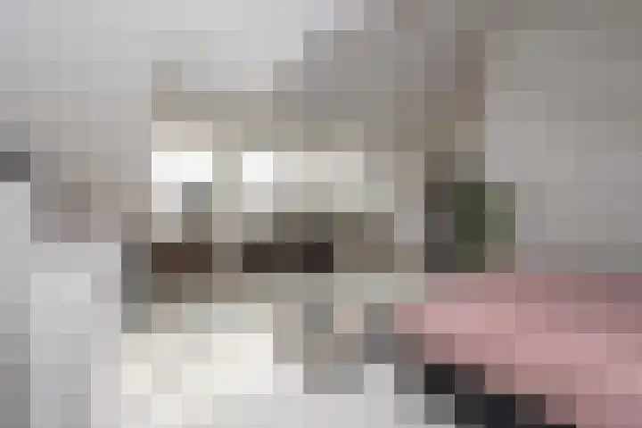 Oscar Leeuwstraat 8 Tilburg thumbnail 28