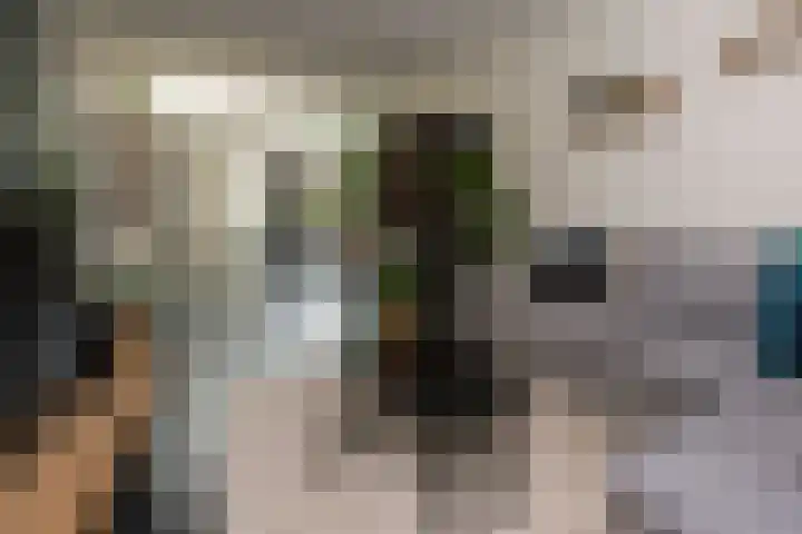 Oscar Leeuwstraat 8 Tilburg thumbnail 8