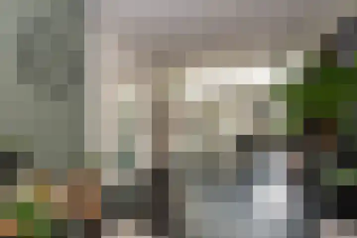 Oscar Leeuwstraat 8 Tilburg thumbnail 9