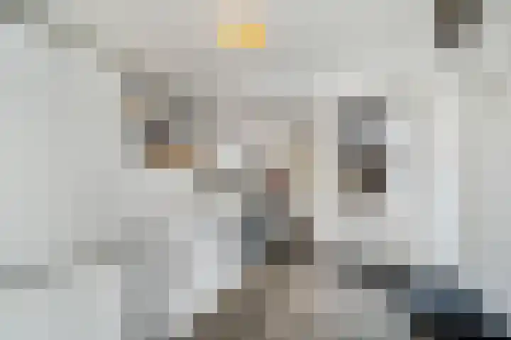 Oscar Romerolaan 8 Beverwijk thumbnail 15