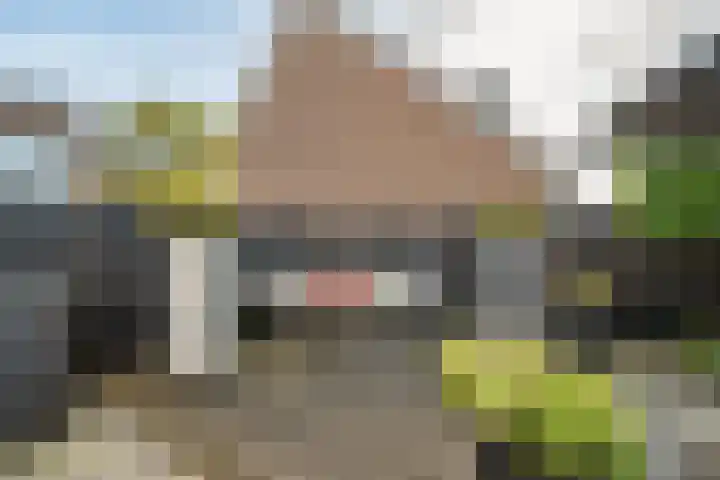Oscar Romerolaan 8 Beverwijk thumbnail 20