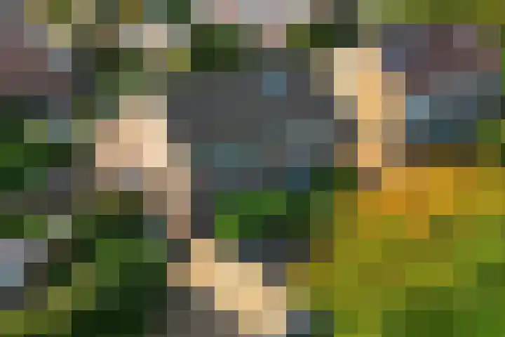Oscar Romerolaan 8 Beverwijk thumbnail 4