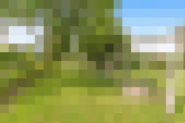Oscar Romerolaan 8 Beverwijk thumbnail 45