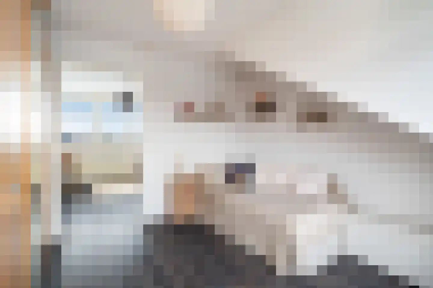 Oscar Romeroplein 6 Den Haag thumbnail 47