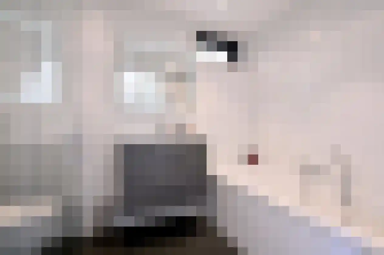 Oscar van Hemelhof 4 Deventer thumbnail 24