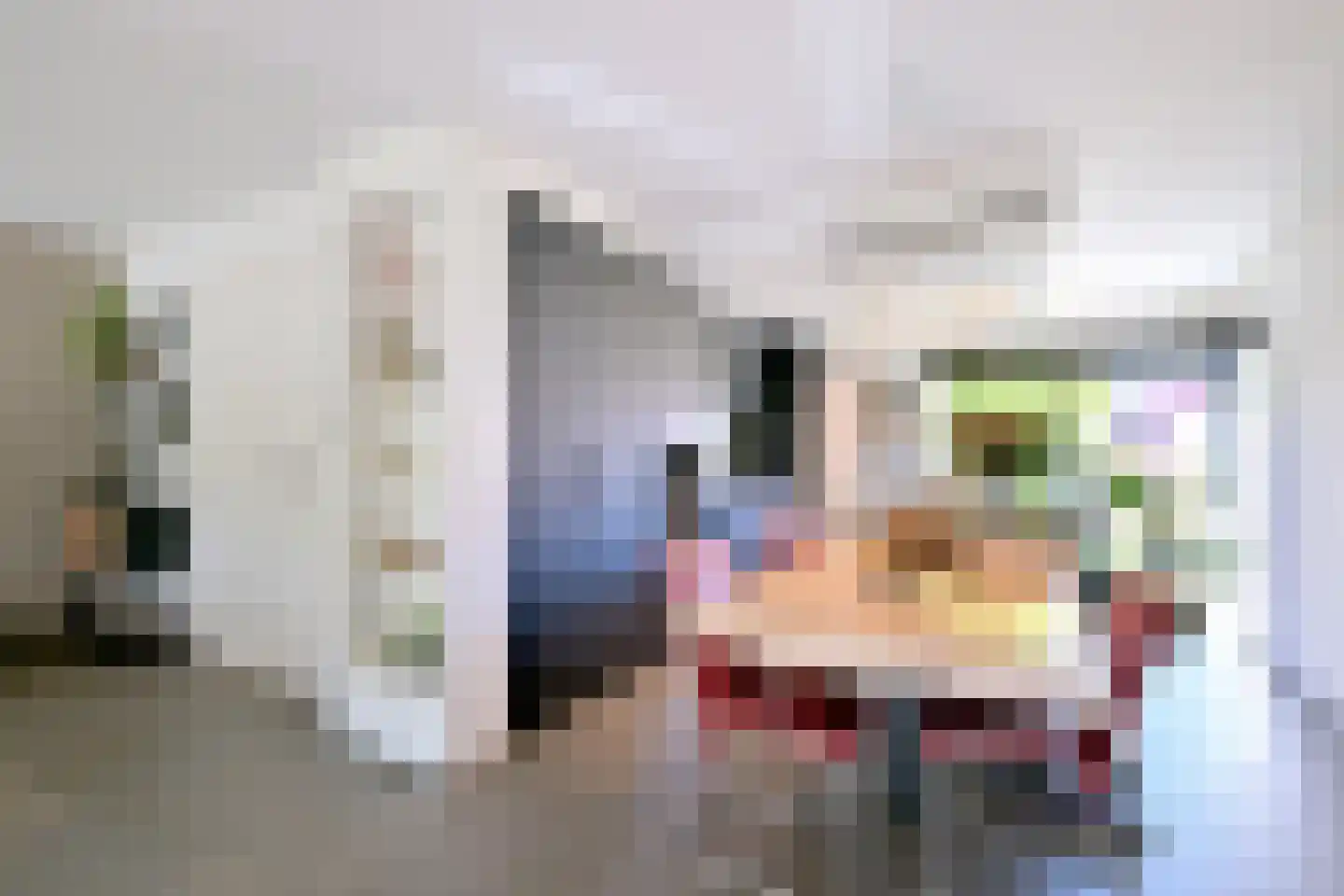 Oscar van Hemelhof 4 Deventer thumbnail 7