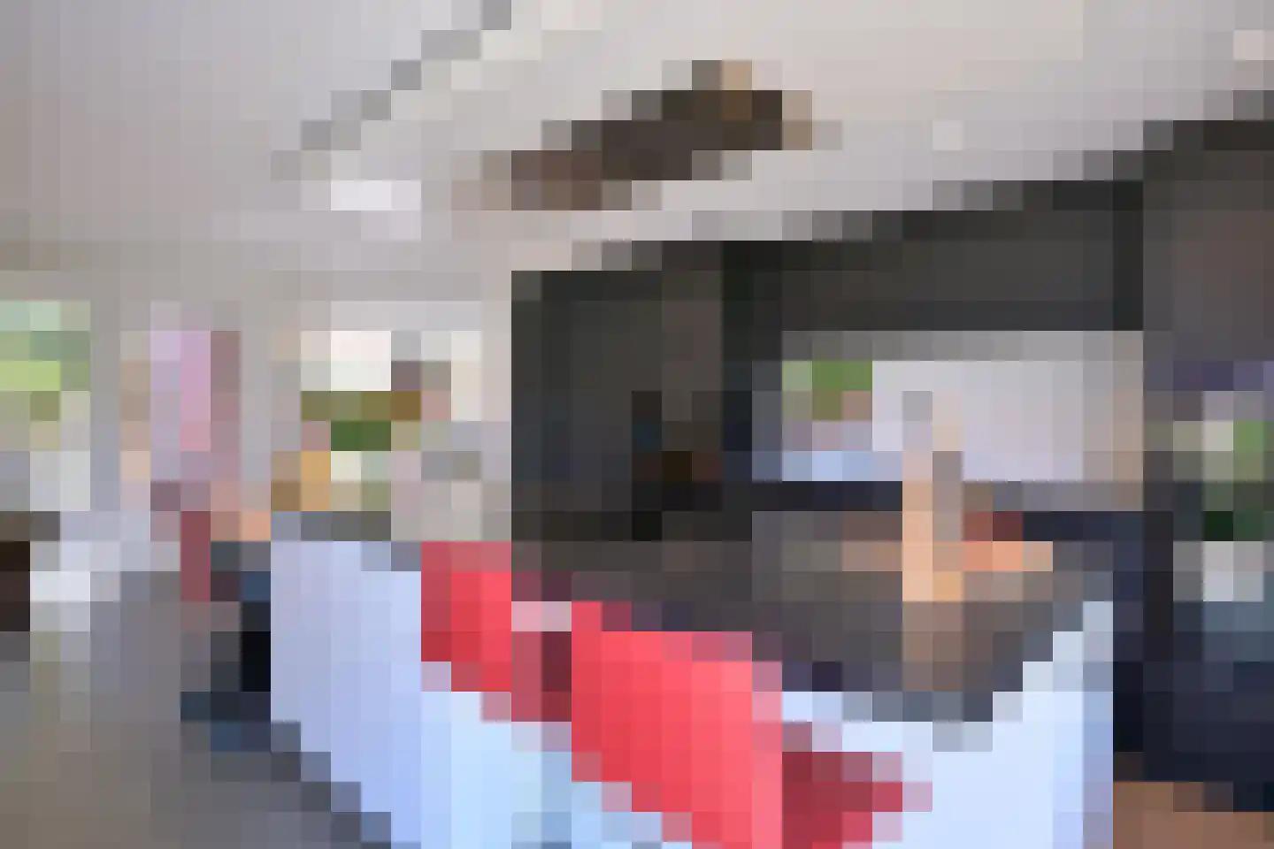 Oscar van Hemelhof 4 Deventer thumbnail 9