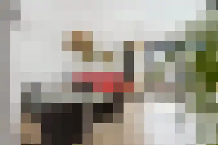 Oscar Wildestraat 10 Groningen thumbnail 11