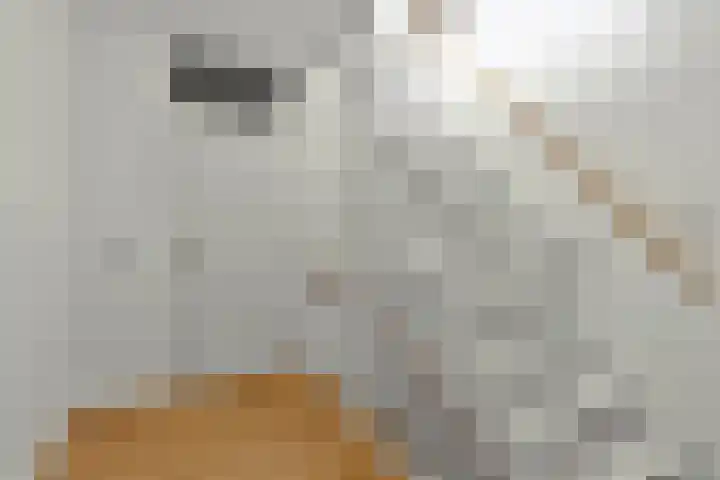 Oscar Wildestraat 10 Groningen thumbnail 21