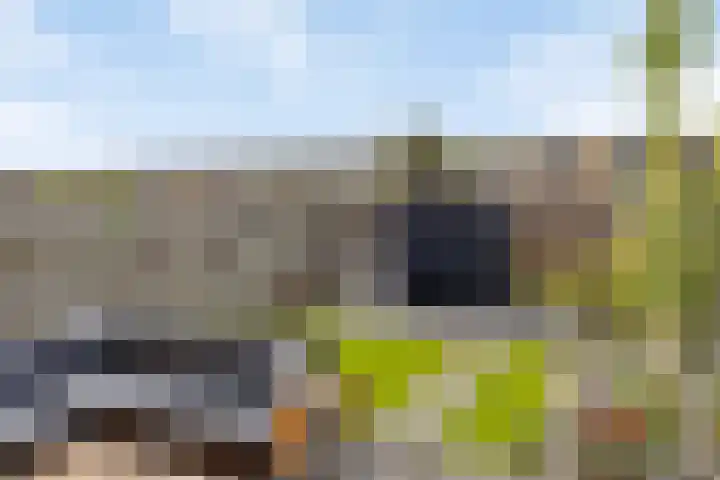 Oscar Wildestraat 10 Groningen thumbnail 28