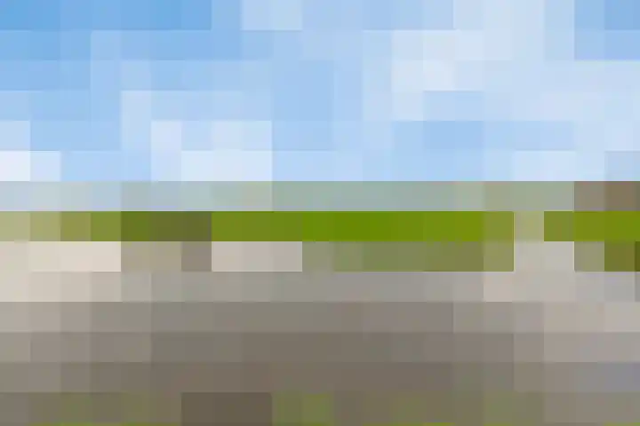 Oscar Wildestraat 10 Groningen thumbnail 30