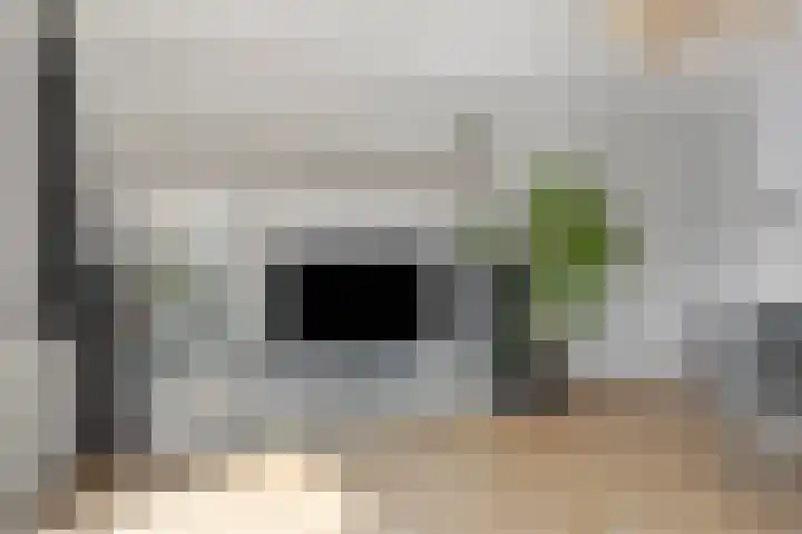Oscar Wildestraat 10 Groningen thumbnail 9
