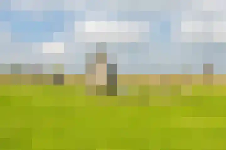 Oscar Wildestraat 2 Groningen thumbnail 10