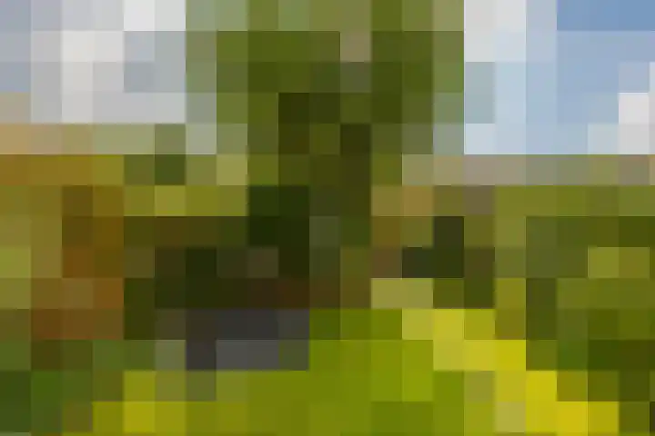 Oscar Wildestraat 2 Groningen thumbnail 31