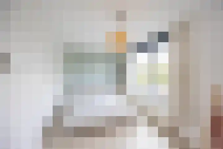 Oscar Wildestraat 2 Groningen thumbnail 34
