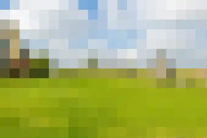 Oscar Wildestraat 2 Groningen thumbnail 7
