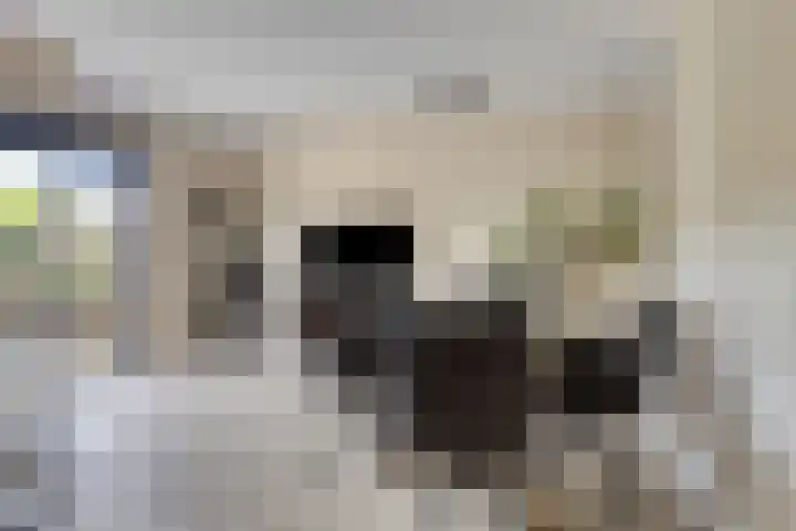 Oscar Wildestraat 20 Groningen thumbnail 12