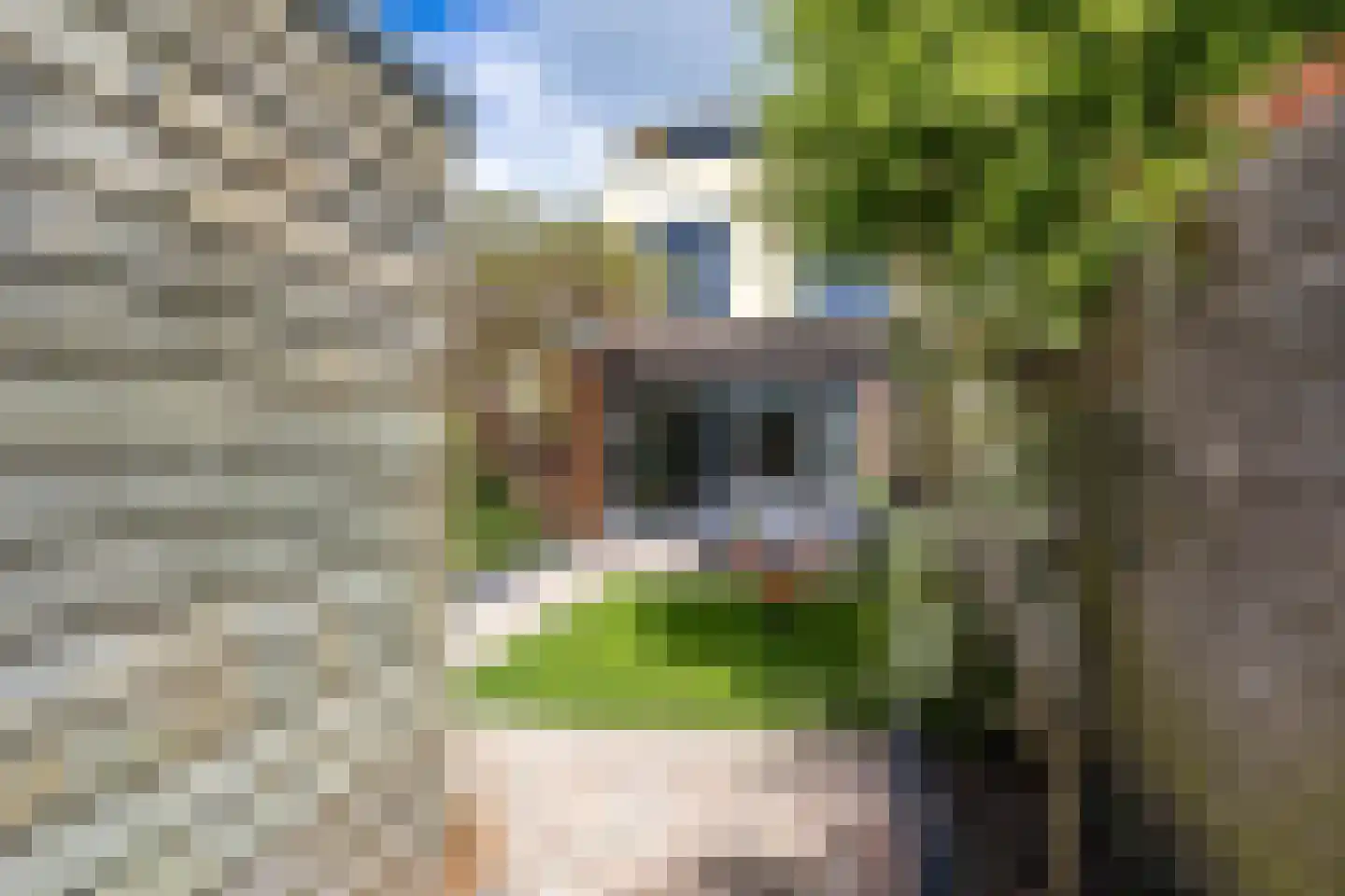 Oscar Wildestraat 27 Groningen thumbnail 23
