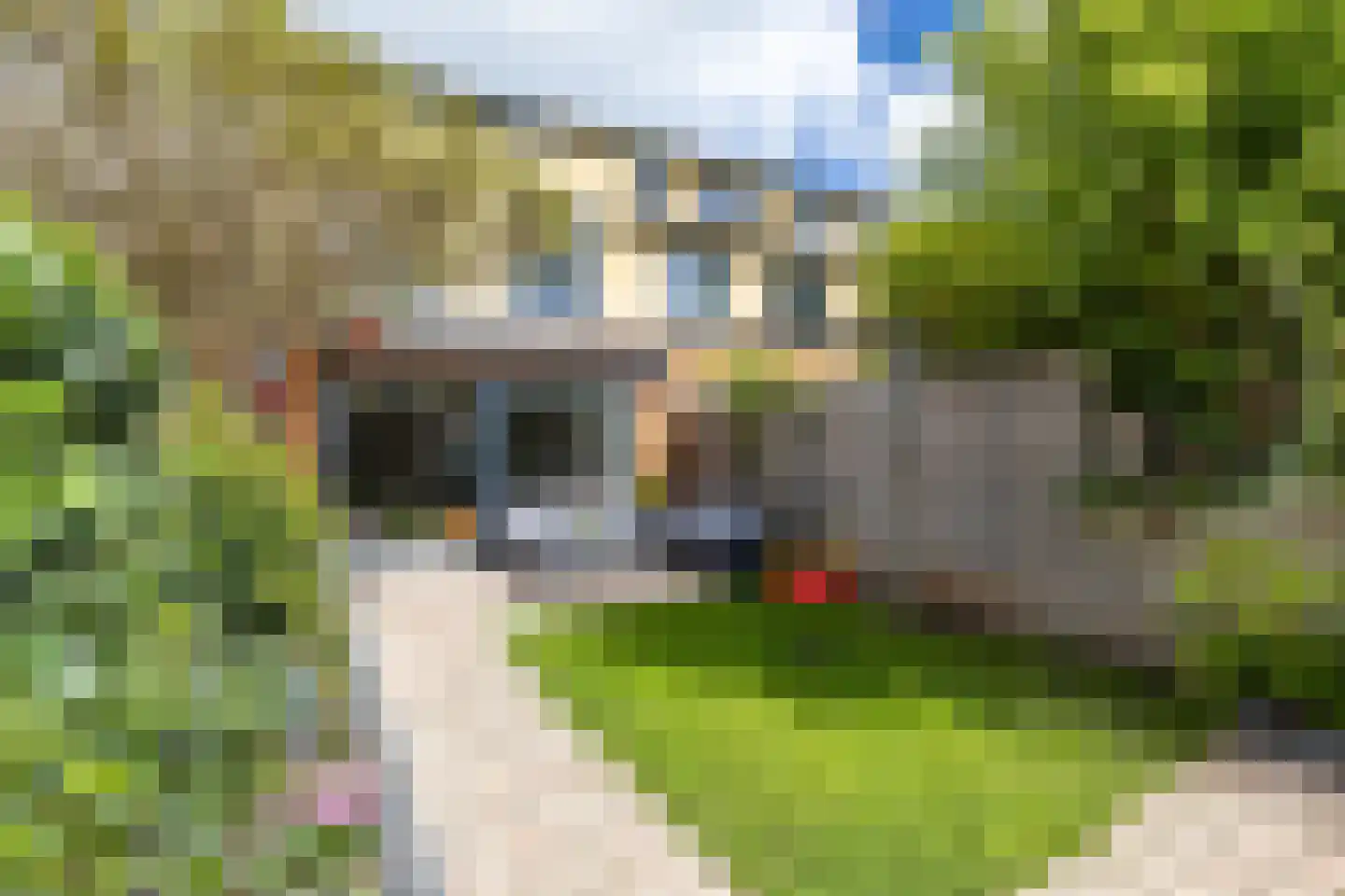 Oscar Wildestraat 27 Groningen thumbnail 5
