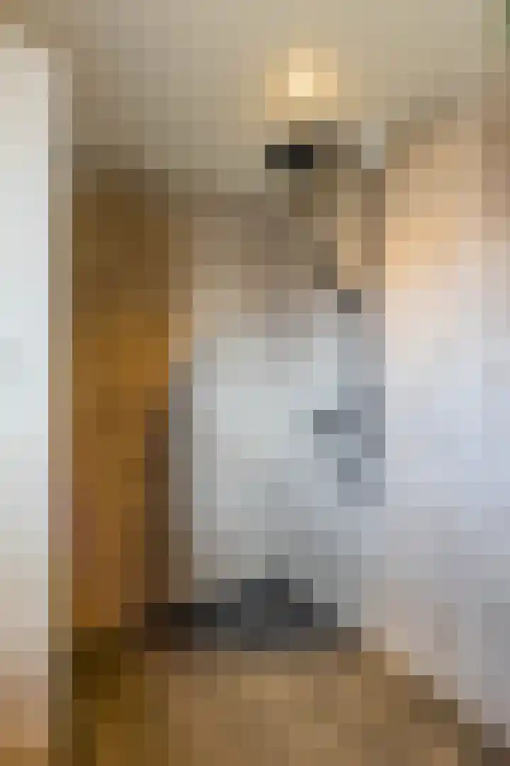 Oscar Wildestraat 47 Groningen thumbnail 39