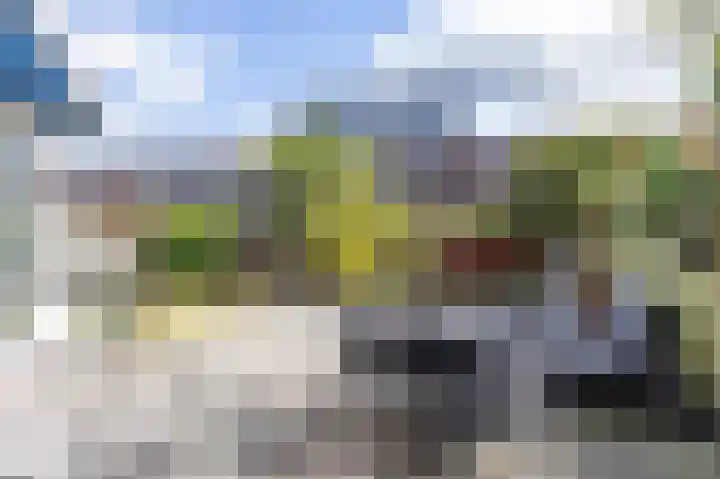 Oscar Wildestraat 47 Groningen thumbnail 48