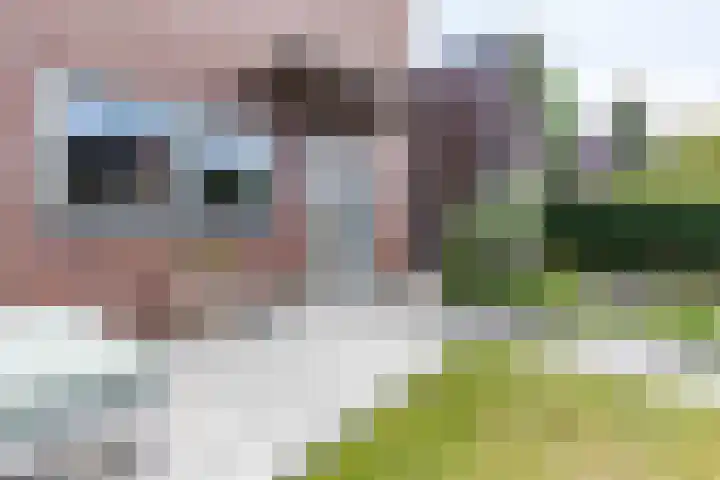 Oscar Wildestraat 47 Groningen thumbnail 5