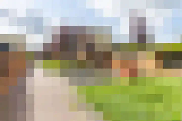 Oscar Wildestraat 47 Groningen thumbnail 57